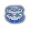 Crystal Oyster With Crystal Pearl