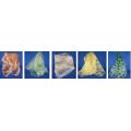 Women's Scarves Multi-Colors &amp; Assortment