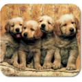 Specialty Mouse Mat -Puppies