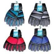 Ladies Assorted SKI Gloves