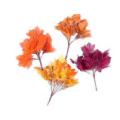 7 Stem Fall Pick- 4 Styles