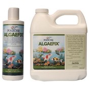 Pond Supplies: 8 oz. AlgaeFix Algae-Control