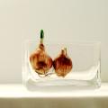Handblown Rectangle Mini Clear Glass Vase-Small