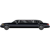 Jointed Limo(Case of 36)