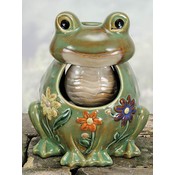 Frog Fountain