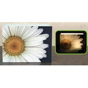 White Daisy Double Candle Holder(Case of 3)