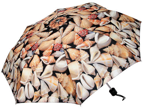 UPC 763038417447 product image for Umbrella Butterfly Collapsible Shell | upcitemdb.com