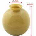 Round Glass Vase
