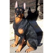 10 1/2" Doberman Dog, Figurine