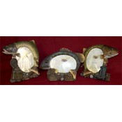 Fish 4X6 Picture Frame, 3 Asst