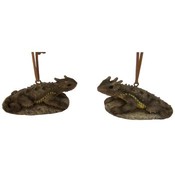 Horned Toad Ornaments