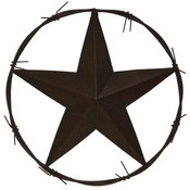 Metal Star 16"