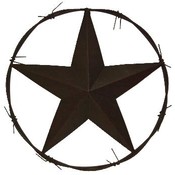 Metal Star/ Barbwire 24"