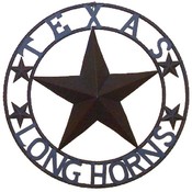 Metal Star Texas Longhorn 24"