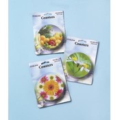 6 pk Coaster Set