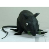 Vinyl Squeaky Rat