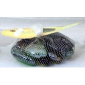 Decorative Glass Jewels / Marbles