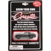 Grow Your Own Corvette