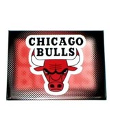 NBA Chicago Bulls Magnets