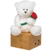 8" Sitting White Bear with Rose
