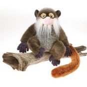 10" Emperor Tamarin