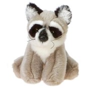 5" "Rocky" Raccoon  In Container