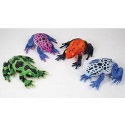 16" Poisonous Frogs