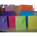 Medium Solid Gift Bag