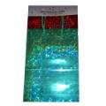 2 pack Hologram Bag