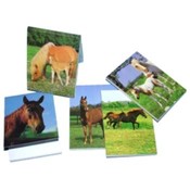 Memo Book With Horses