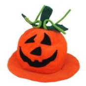 Halloween or Harvest Pumpkin Hat