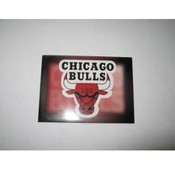 Chicago Bulls