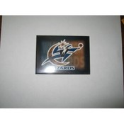Washinton Wizards Magnet