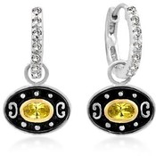 Desired Eyes Tutone Earrings