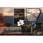 Arkansas Postcard 12103 State Montage