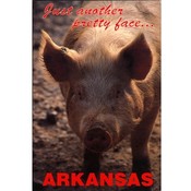 Arkansas Postcard 12116 Pretty Face