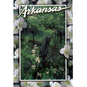 Arkansas Postcard 12118 Nostalgic Scene Plow