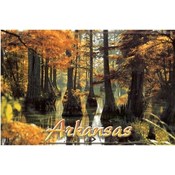 Arkansas Postcard 12121 Cypress Tree