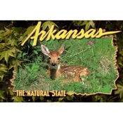 Arkansas Postcard 12125 Deer