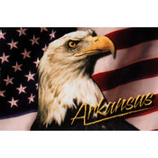 Arkansas Postcard 12127 Eagle