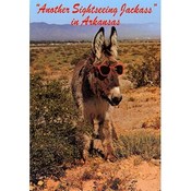 Arkansas Postcard 12128 Sightseeing Jack Ass
