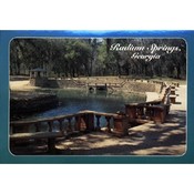 Georgia Postcard  12128389 Radium Springs