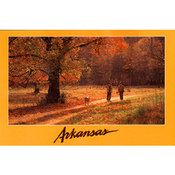 Arkansas Postcard 12144 Hunters
