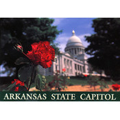 Arkansas Postcard 12189 State Capitol Rose