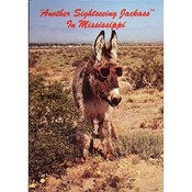 Mississippi Postcard 12309 Sightseeing Jack Ass