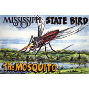 Mississippi Postcard 12318 State Bird