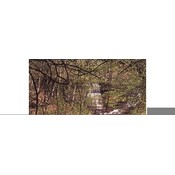 Mississippi Postcard 12327 Fall Hollow