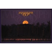 Mississippi Postcard 12332 Great Egrets