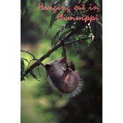 Mississippi Postcard 12343 Hangin Out