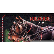 Missouri Postcard 12806 Mules